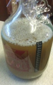 Summer Citrus in fermenter