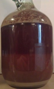 Australian Pale Ale #1