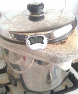 Baltic Porter #2 Mash