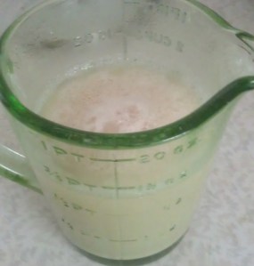 Baltic Porter #2 Yeast