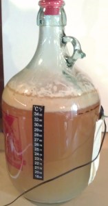 Australian Pale Ale #2