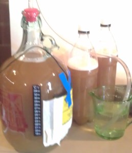 Australian Pale Ale 3