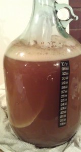 Australian IPA #1 with hop bag