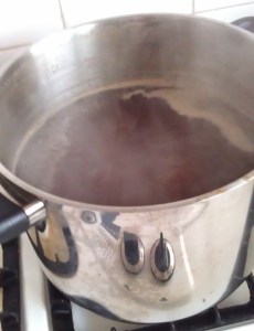 Pseudo Lager boil