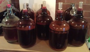 Pale Trial Zwei - carboy 1-5