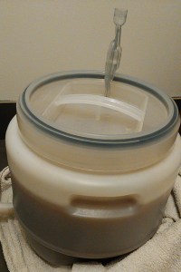 Lazy House Ale in fermenter